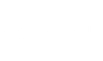 Sarah Wells Bags Outlet